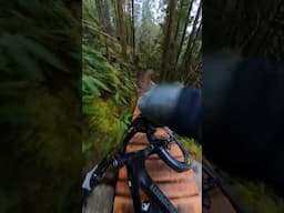 Squamish's newest trail is nothing like you think!