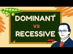Dominant VS Recessive Alleles