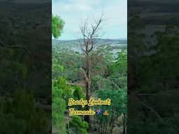 Exploring Tasmania | Bradys Lookout 🇦🇺🏕️🦘 #lifeinaustralia #tasmania #launceston #drbookworm