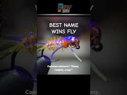 Help name this bug to win! Watch next☝️"fly in action" #flytying #jigtying #flyfishing