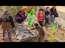 Plastering a wooden hut: and building a shed for a new family member2025