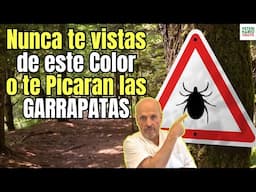🕷️CONSEJOS CASEROS para EVITAR PICADURAS de GARRAPATAS 🏡¡PROTEGE a tu FAMILIA y MASCOTAS al NATURAL🌲