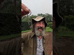 THE WORLD'S LARGEST EARTHWORM! 🪱😲