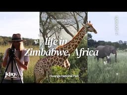 Life in Africa ~ Camping Trip to Hwange, Zimbabwe 🐘 a video postcard 💌