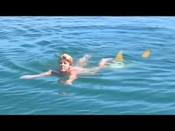 9 Mins That'll Change the Way You See Sharks