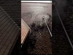 Incredible Moss Removal From This Roof! #satisfying #cleaning #pressurewashing #specialist #clean