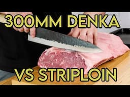 BEHEMOTH FUJIWARA DENKA VS STRIPLOIN