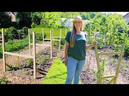DIY Trellis Designs for Fall-Bearing and Summer-Bearing Raspberries