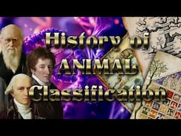 Naturalism, Evolution & Taxonomy : The History of Animal Classification