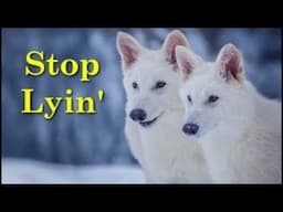 Colossal Defends Their Fake Dire Wolves