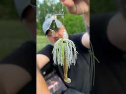 Buzzbait Fishing ADVANCED Tips