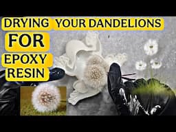 YOU Should Use This Type of EPOXY RESIN For Preserving DANDELIONS In One Go....