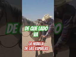 ¡De que lado va la hebilla de las espuelas! Esta es mi lógica