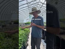 Testing All Our Seeds!