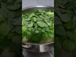 Chicken tinola na may malunggay |Chicken soup with moringga leaves | Yummiest food #shortsviral