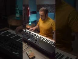 Lead Synth Patches for Korg WaveState - Analog Synth Essentials #wavestate #korgsynth #korgwavestate