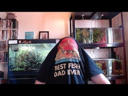 Sunday Sharpe: Daddies day