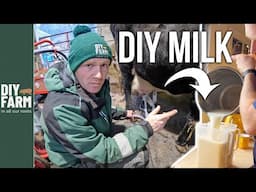MILKING OUR HOUSE COW - Worth the wait?