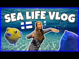 What’s Inside SEA LIFE Helsinki? 🐙Speaking Finnish at the Aquarium!