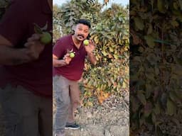 Which fruits have Indian origin ??