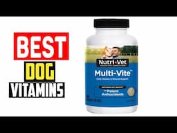 ✅Top 5 Best Dog Vitamins in 2025