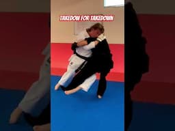 Karate Takedowns #karate