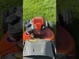 Mowing. Just mowing. #mower #mowing #lawncare