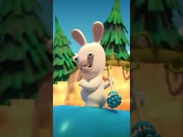 Rabbid shower