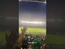 Te quiero Cali, te quiero Cali 💚🇳🇬🏟️ #DeportivoCali #DelCaliSoy1912 #VamosCali