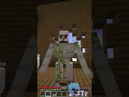Playing with That One NOOB in Minecraft…