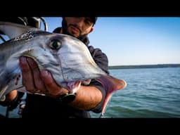 Snapper & Whiting Fishing Combo – The Ultimate Aussie Session!