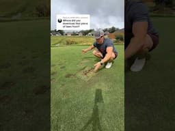 Infinite Lawn Glitch