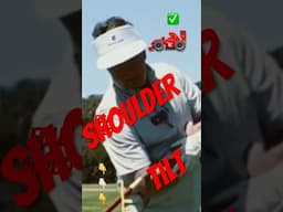 Upper BODY SHOULDER Rotation - SPEED X 2  #golf #video #shorts #golftips #golfswing #diy #power #diy