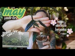May favorites | Outdoor garden tour ❀