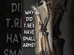 Why did T-Rex have small arms?