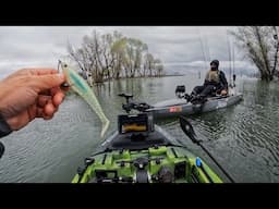 The hype surrounding Clear Lake, CA (my experience)