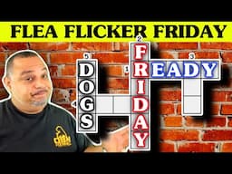 Friday Night Dog Talk | American Bully