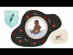 The Power of Vaccination: How Routine Immunisation Protects Our Children