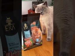 Tu gato NECESITA alimento Grain Free 🐱