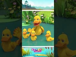 Story Of Five Little Ducks 🎶🐤 Quack Quack Song #shorts #kidssong #birdsong