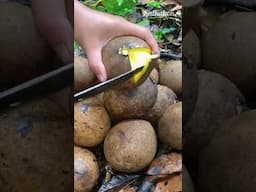 What a Fruit? #food #fyp #foryou #shorts #tiktok #viralvideo #satkahon