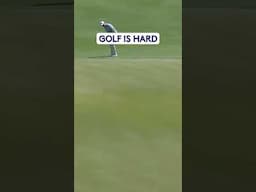 Putting it into WATER 👀