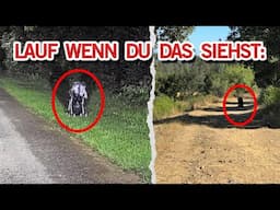 Der verstörende Kinderwagen Trick | MythenAkte