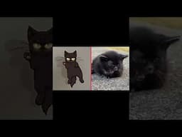 ADORABLE  Animals 🐻 Funny Pet Videos