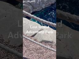 #lostislandblastadventure #asmr #foryou