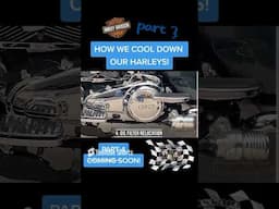 Why Do an Oil Filter Relo   Full Vid  https   www youtube com watch v=N9HnTWKbfbc