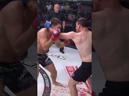 HUGE KNEE KO! Have you ever seen a better knockout from Sullivan Cauley? #MMA #Bellator #Shorts