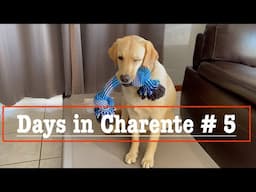 Days in Charente# 5. French Countryside Life # 152