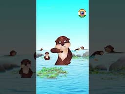 ನೀರು ನಾಯಿಗಳು ಮತ್ತು ಮಕ್ಕಳು (Sea Otter Song)  #Shorts #ChuChuTVKannada #KannadaRhymes