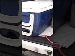 Yeti Cooler Hidden in plain sight